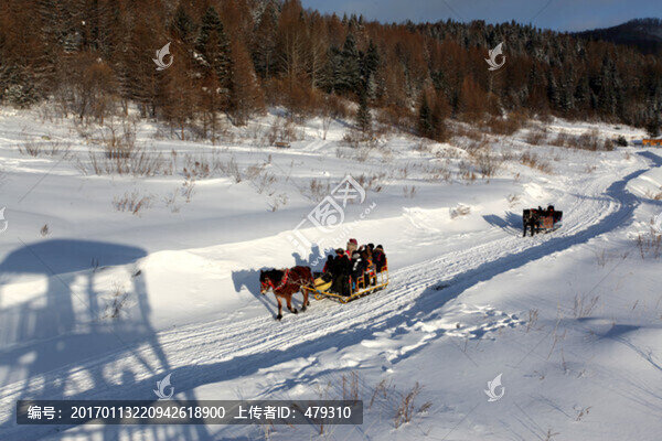 中國雪鄉(xiāng),馬拉雪橇,雪橇,雪鄉(xiāng)
