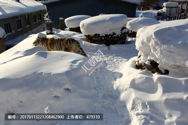 雪鄉(xiāng),雙峰林場,中國雪鄉(xiāng),雪景