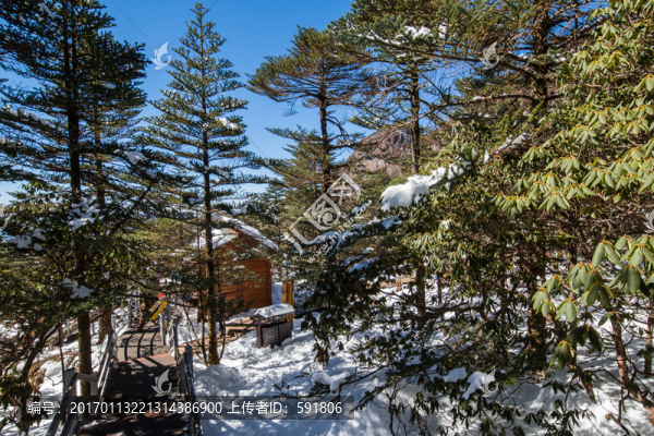 林海雪原中的木屋