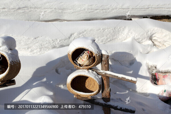 雪鄉(xiāng),雞窩