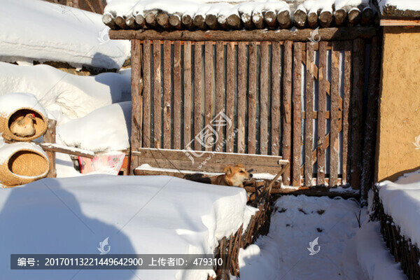 雪鄉(xiāng),雙峰林場,中國雪鄉(xiāng),雪景