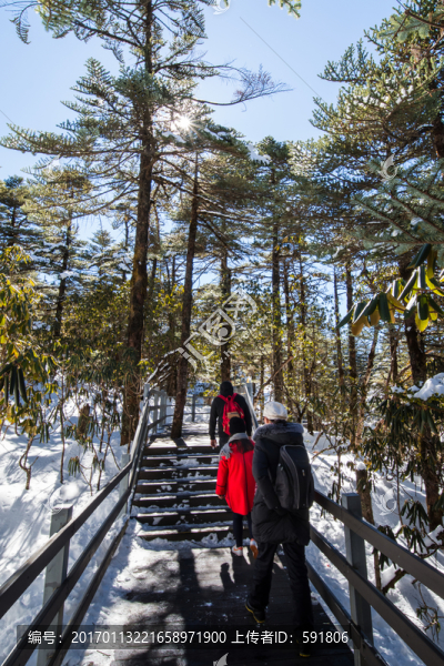 林海雪地棧道上的紅衣少女