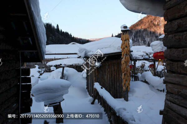 雪鄉(xiāng),雙峰林場,雪景,白雪