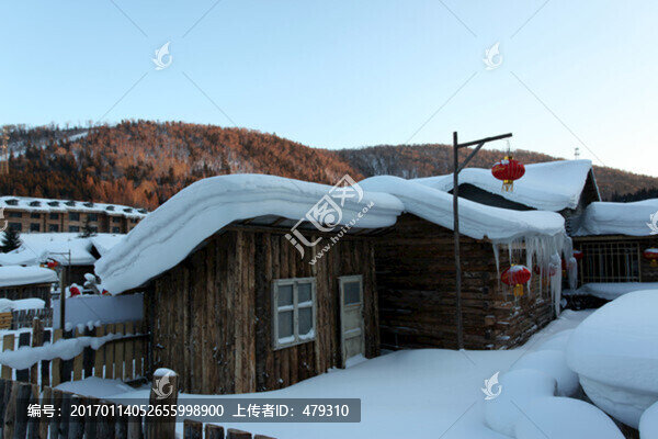 雪景,白雪