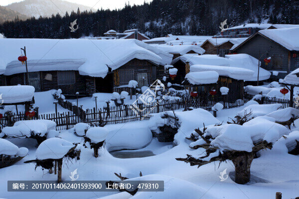 雙峰林場(chǎng),雪景,白雪