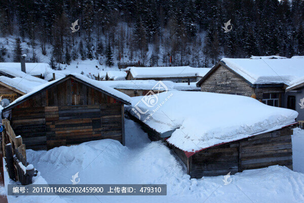 雪鄉(xiāng),雙峰林場,雪景,白雪