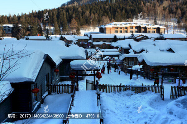 雪鄉(xiāng),雙峰林場(chǎng),雪景,白雪,鄉(xiāng)