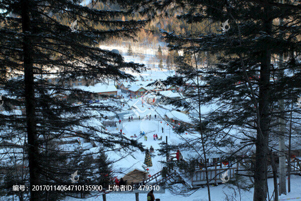 林海雪原
