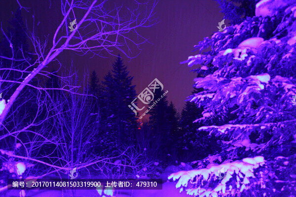 雪鄉(xiāng),夜景,風(fēng)景,雪景,冬景