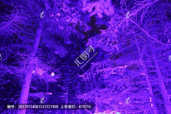雪鄉(xiāng),夜景
