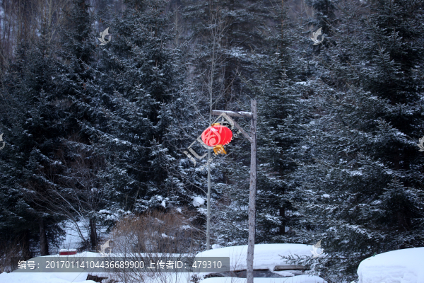 雪鄉(xiāng),雙峰林場(chǎng),春節(jié),紅燈,燈