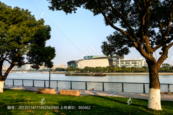 冬天枯樹與綠草地,枯枝,冬天樹