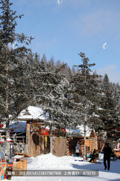 林海雪原,雪鄉(xiāng),山,松樹(shù),松林