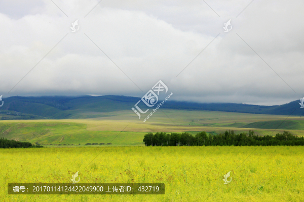夏季田野風(fēng)光