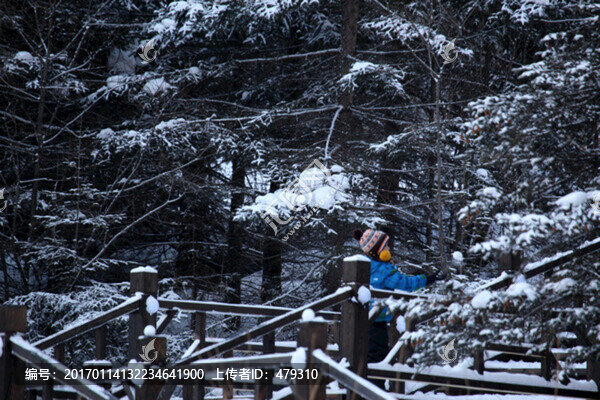 林海雪原,雪鄉(xiāng)