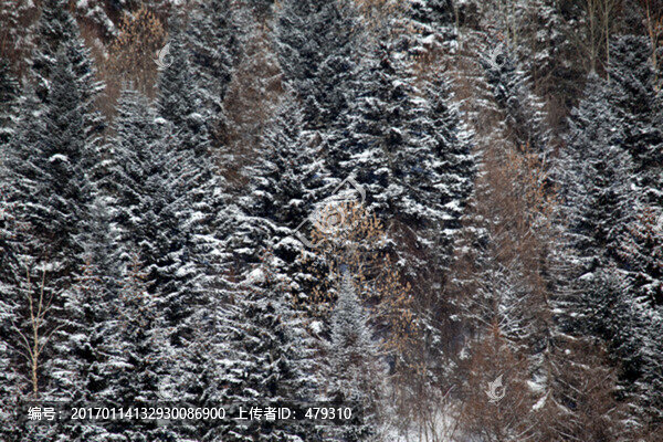 林海雪原,雪鄉(xiāng),山