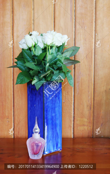 白薔薇