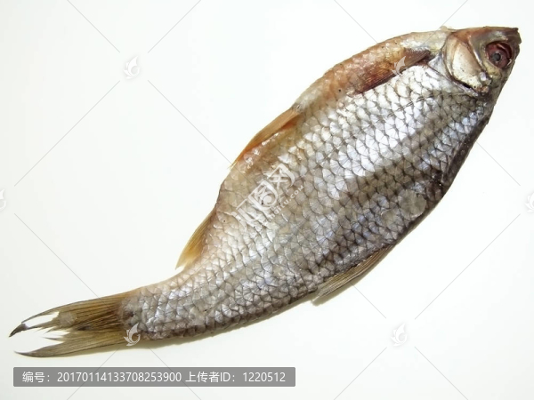 一個(gè)干魚