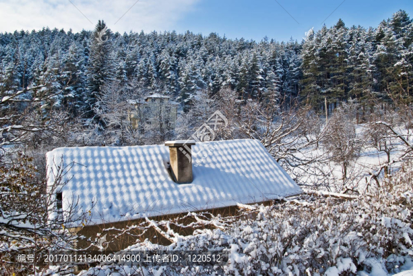 屋頂；在冬天的雪和森林