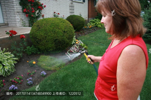 女人澆灌花園