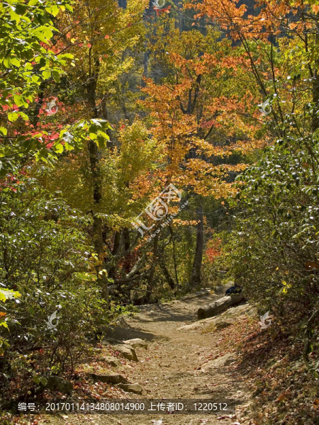 山間的小路