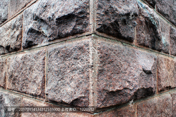 石頭的叢林。