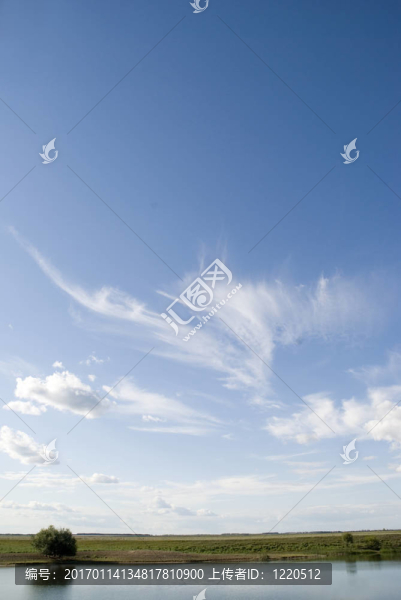 天空和樹和地平線