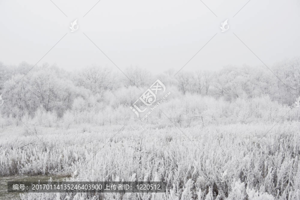 多雪的冬季景觀