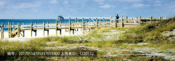 佛羅里達(dá)州的天堂