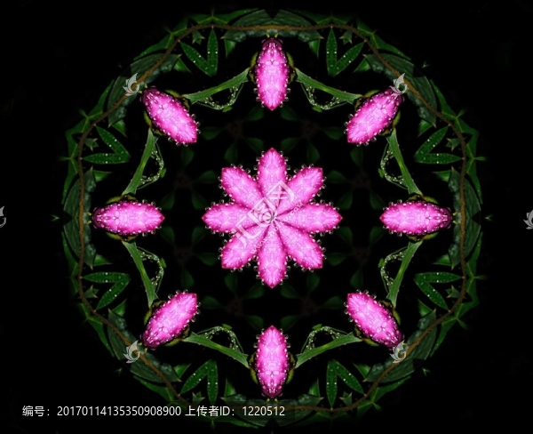 粉紅色的kaleidocope