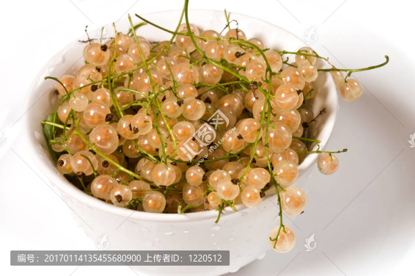 白栗