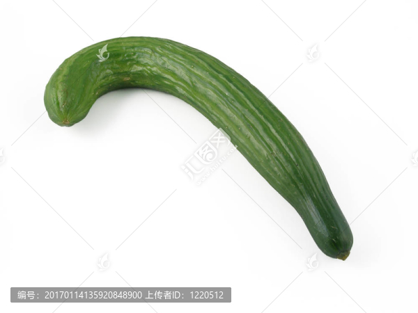 黃瓜