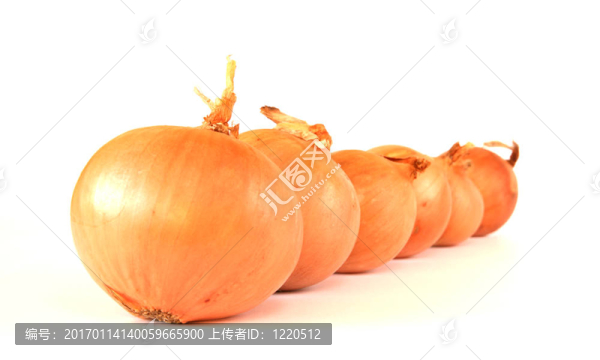 生金蔥