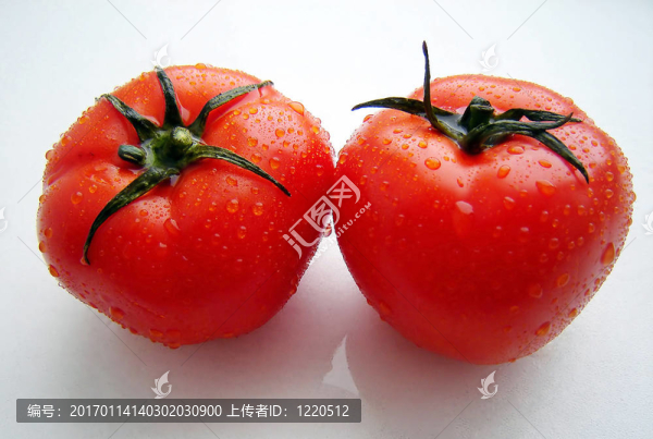 西紅柿