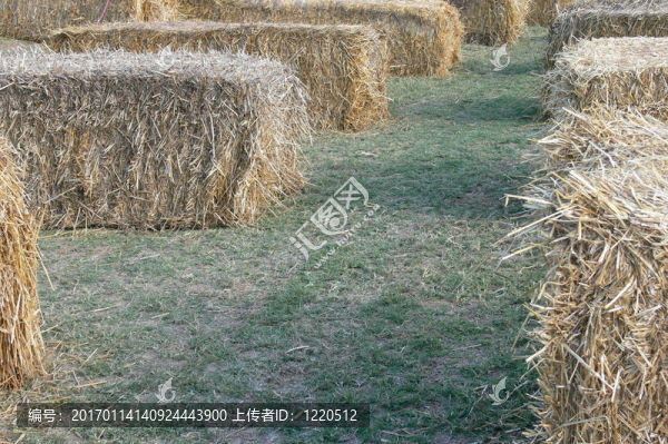 草捆