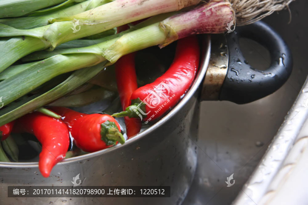 新鮮蔬菜