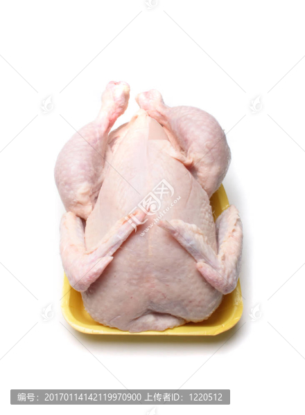 生雞肉