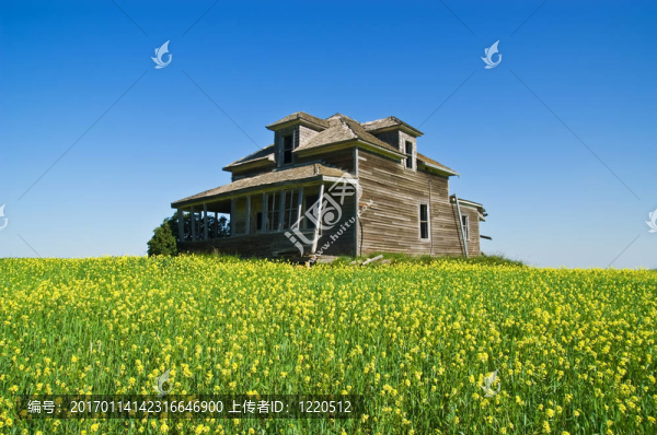 廢棄的農(nóng)場(chǎng)-匯圖網(wǎng) www.fosd68.com 廢棄的農(nóng)場(chǎng)