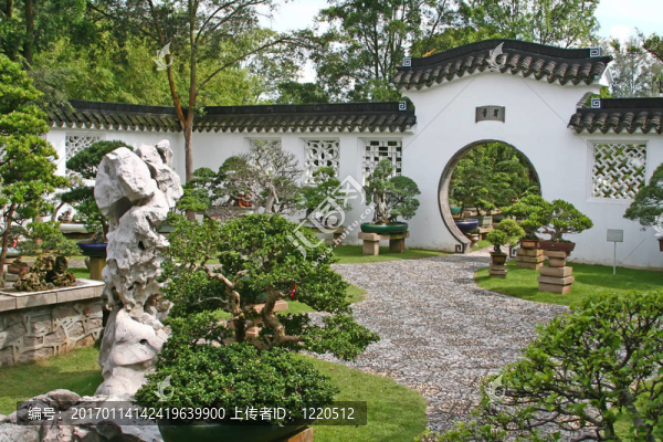 盆景園