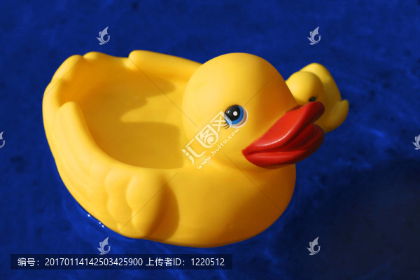 鴨子