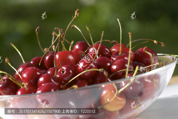 櫻桃