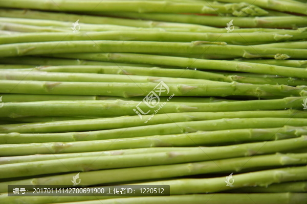 鮮蘆筍