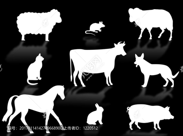 農(nóng)場里的動物