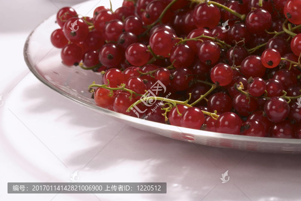 紅醋栗