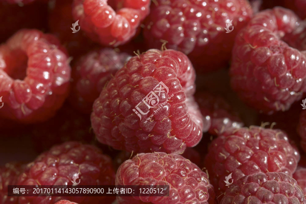 覆盆子