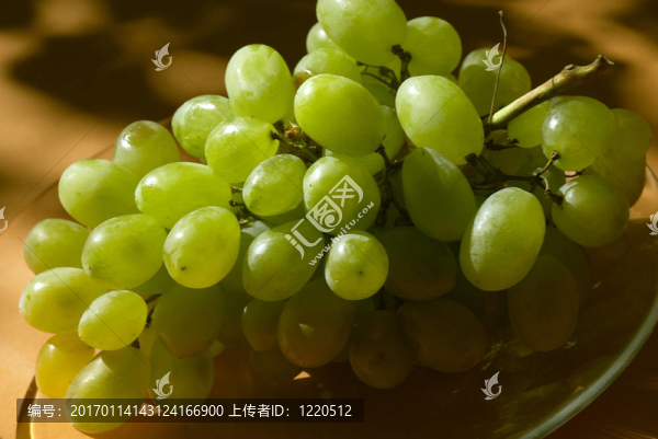 葡萄