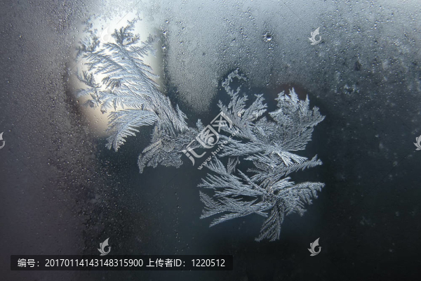 窗玻璃上的霜圖紙