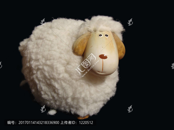 sheep1
