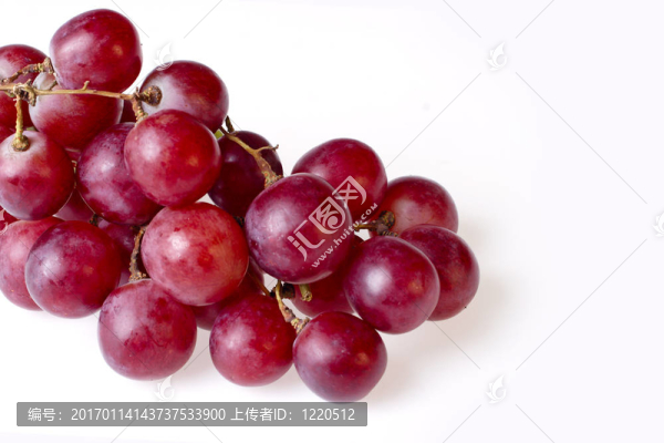 孤立的葡萄