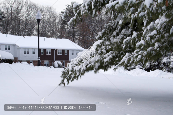 大暴風雪過后的早晨